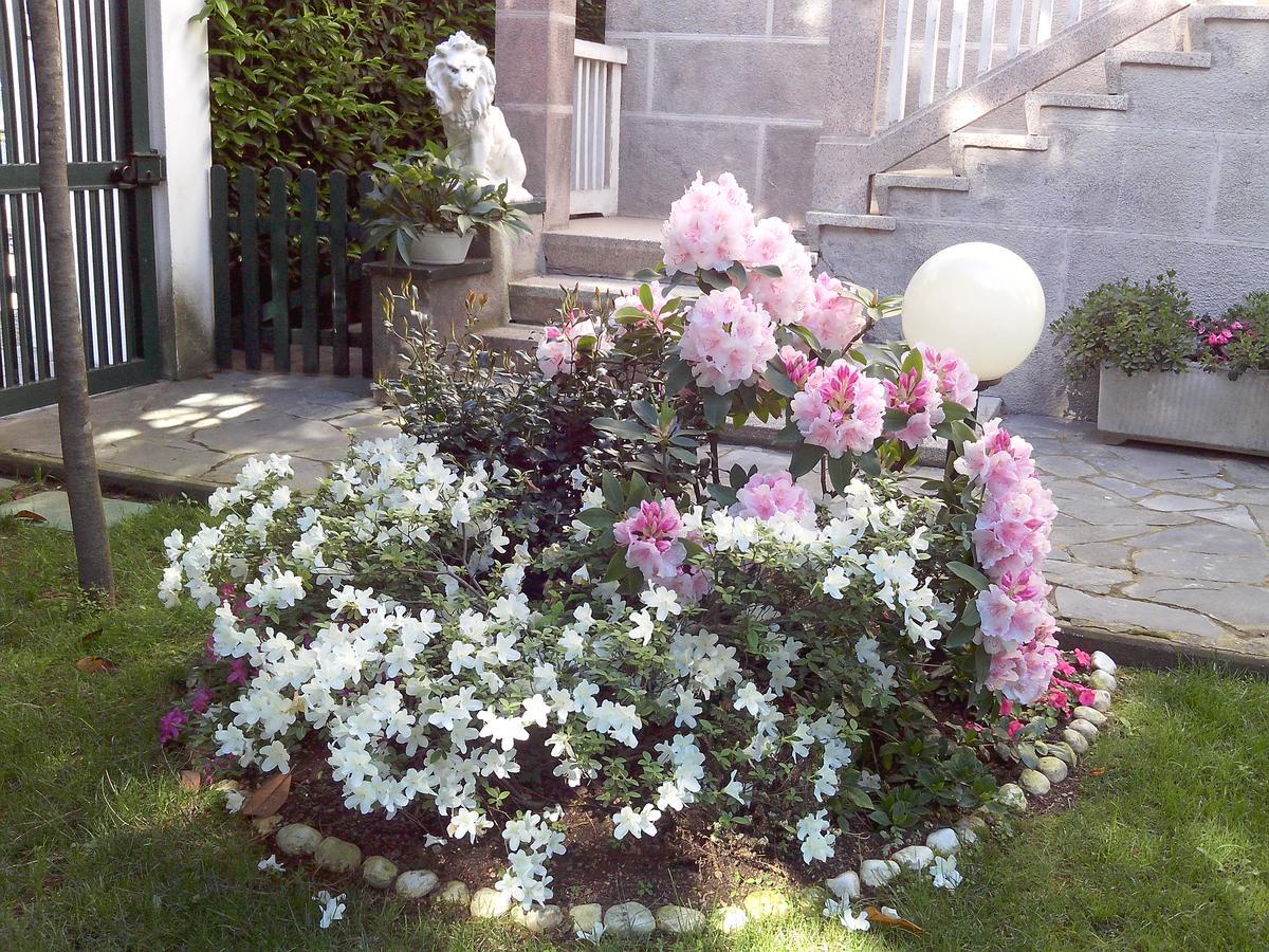 B&B Le Magnolie Γκαλλαράτε Εξωτερικό φωτογραφία